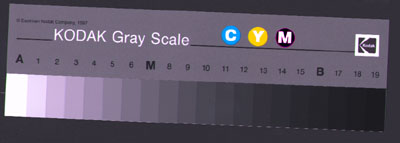 AGFA Duoscan Kodak.tif