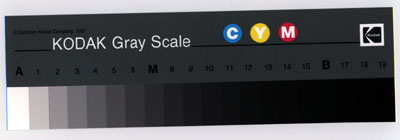 Epson ES1000C Kodak.tif