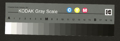 Microtek E6 Kodak.tif